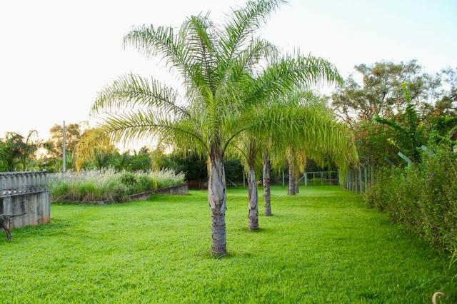 Rancho adolfo cond sobradinho- Pé na agua 550mil- lindo ac troca - Foto 17