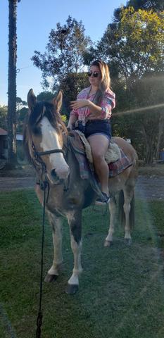 Casal cavalos crioulos - Foto 4