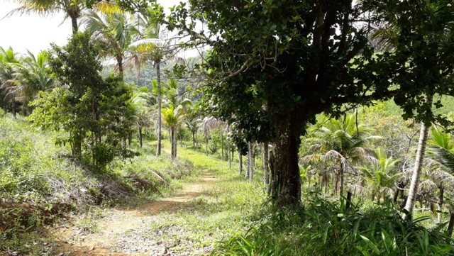  Chácara La Valenciana Ipojuca-PE. - Foto 6
