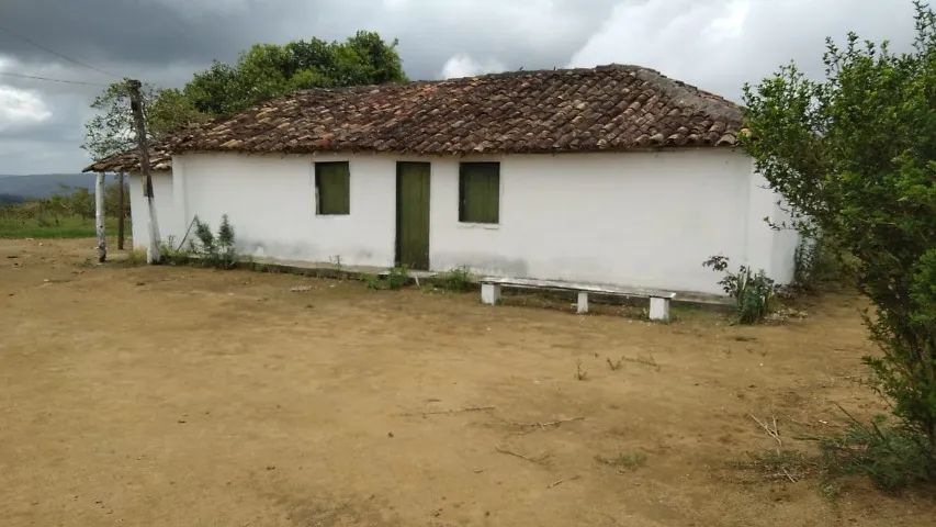 FAZENDA EM CRAVOLÂNDIA - 307 HECTARES - Foto 3