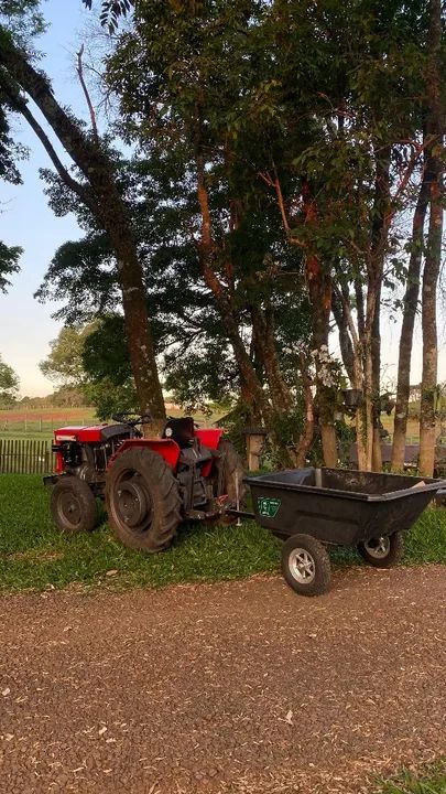 Trator Agrale 4100 - Foto 3