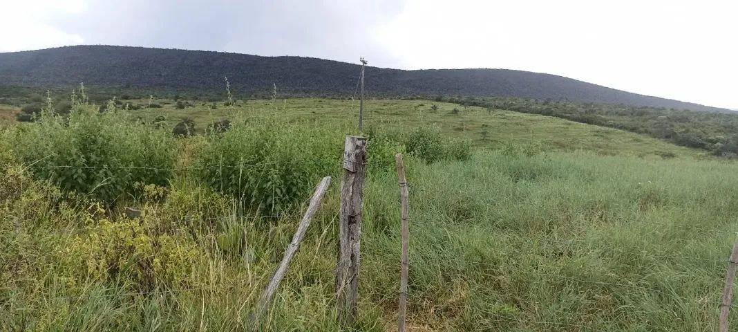 FAZENDA KM 70 BR 116 SUL - Foto 3