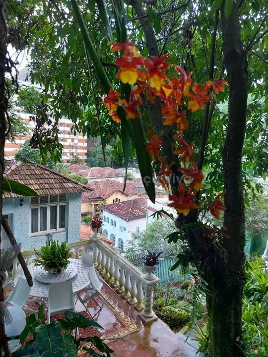 Cosme Velho | Casa 6 quartos, sendo 1 suite - Foto 4