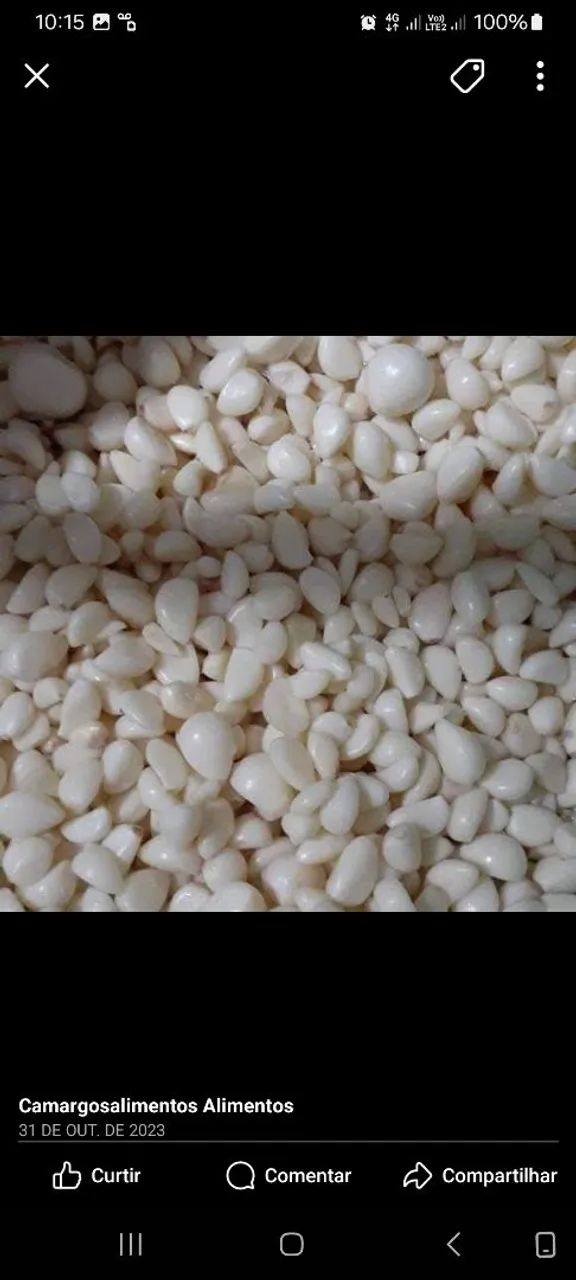 Alho fresco para plantio - Foto 2