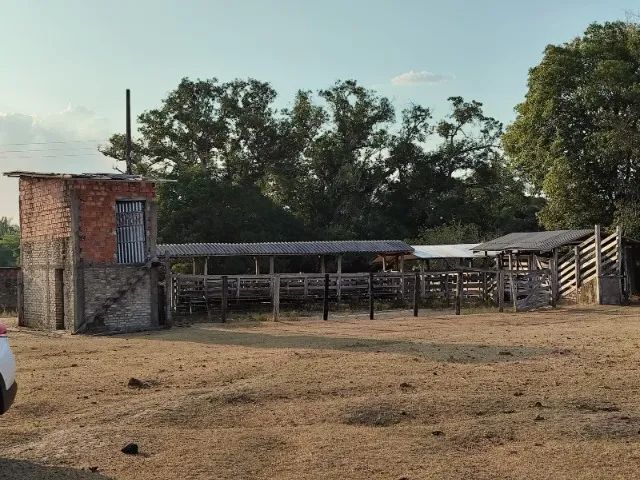 Fazenda em Pirapema do Maranhão - Foto 3