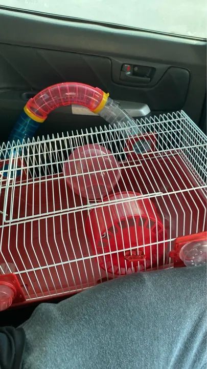 2 Gaiolas para Hamster com Túnel - Foto 4