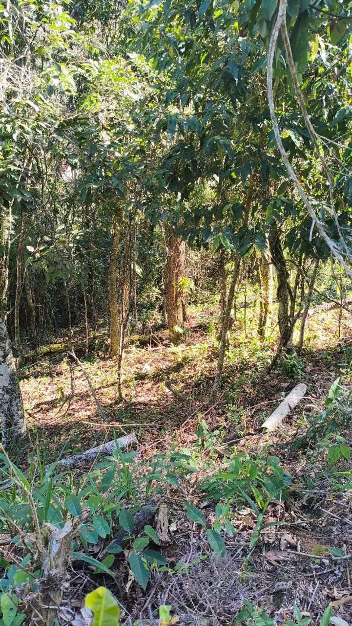 Terreno em Albuquerque! - Foto 3