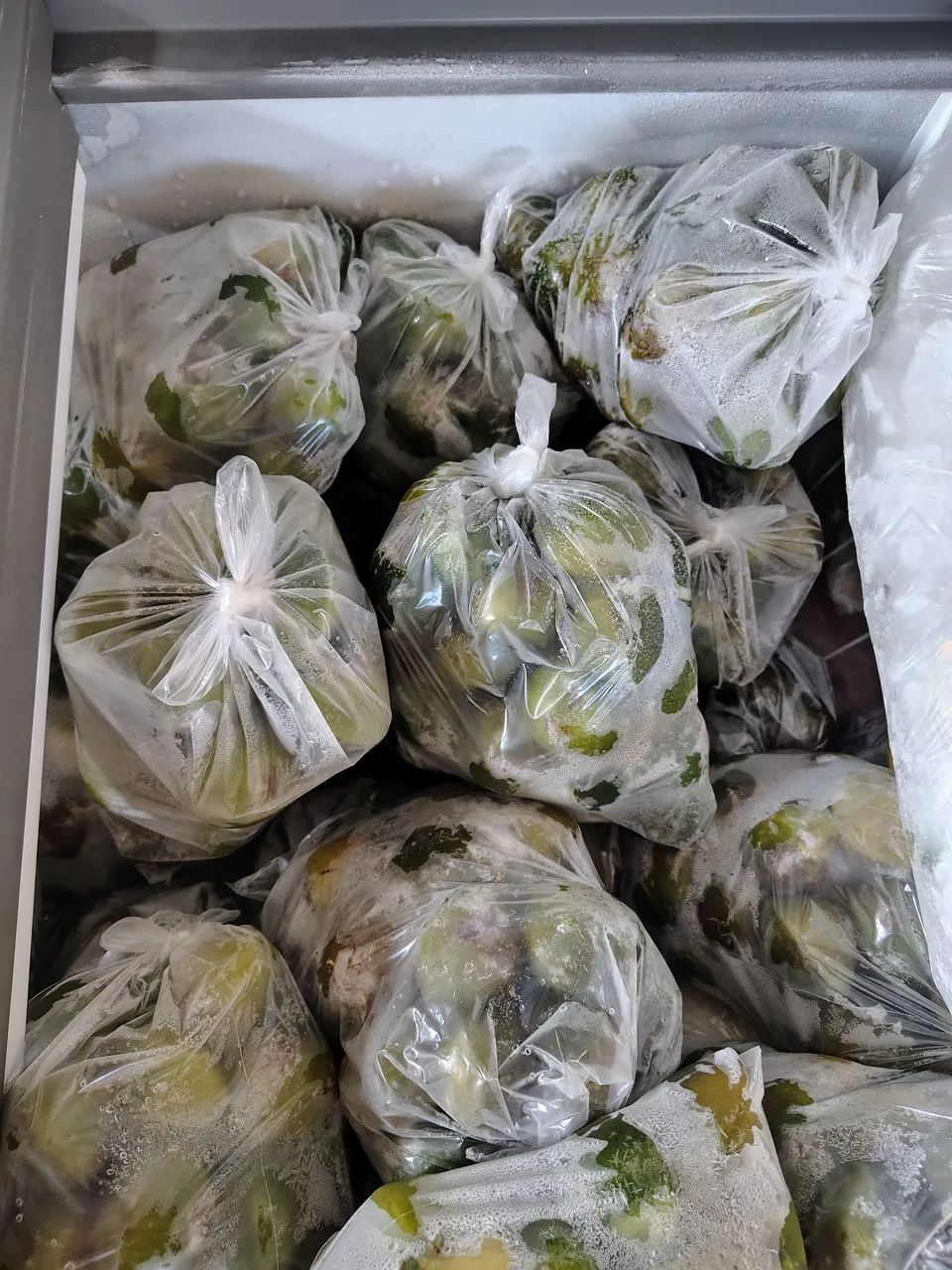 Cambuci madurado no pé  - Foto 2