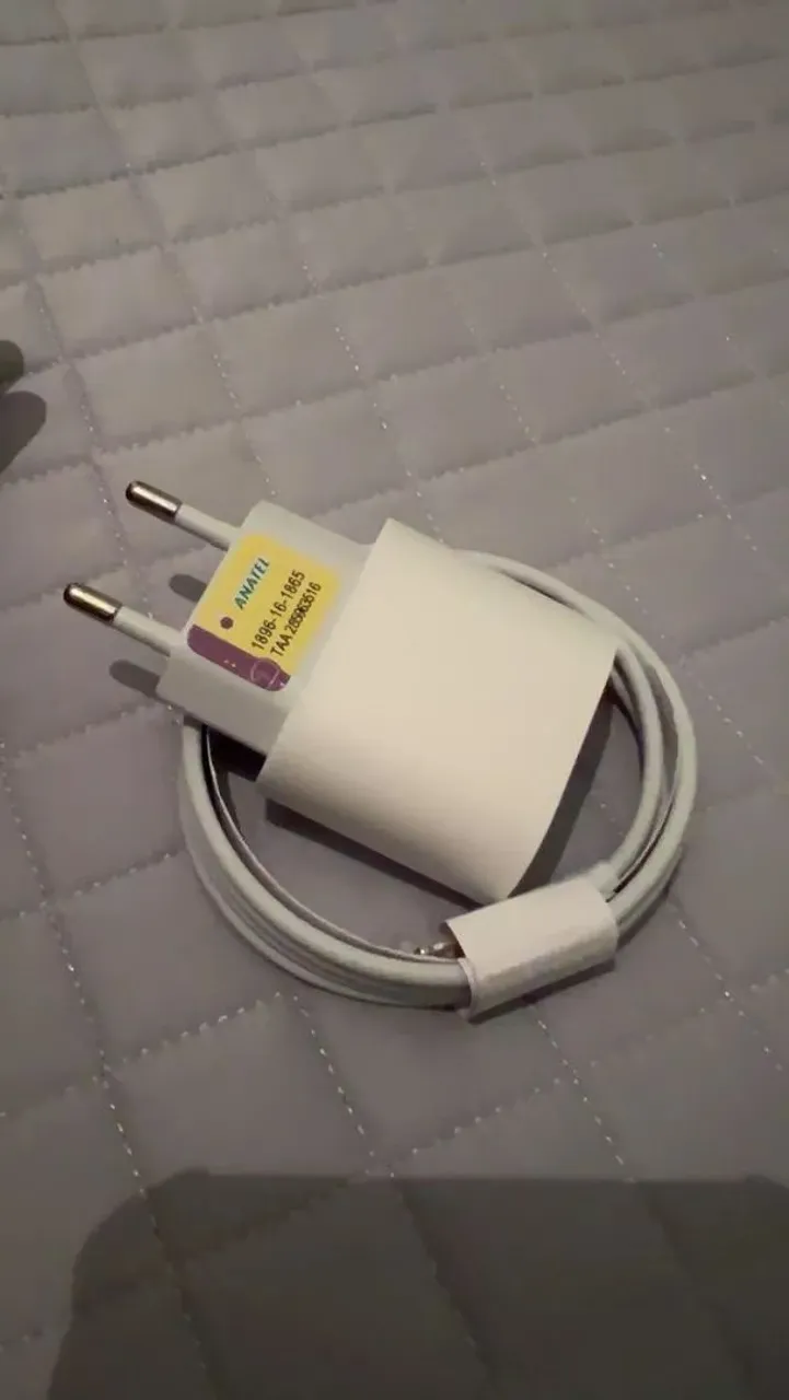 Carregador Apple iPhone C Original - Novo