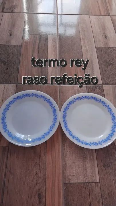 Pratos de refeições termo rey 