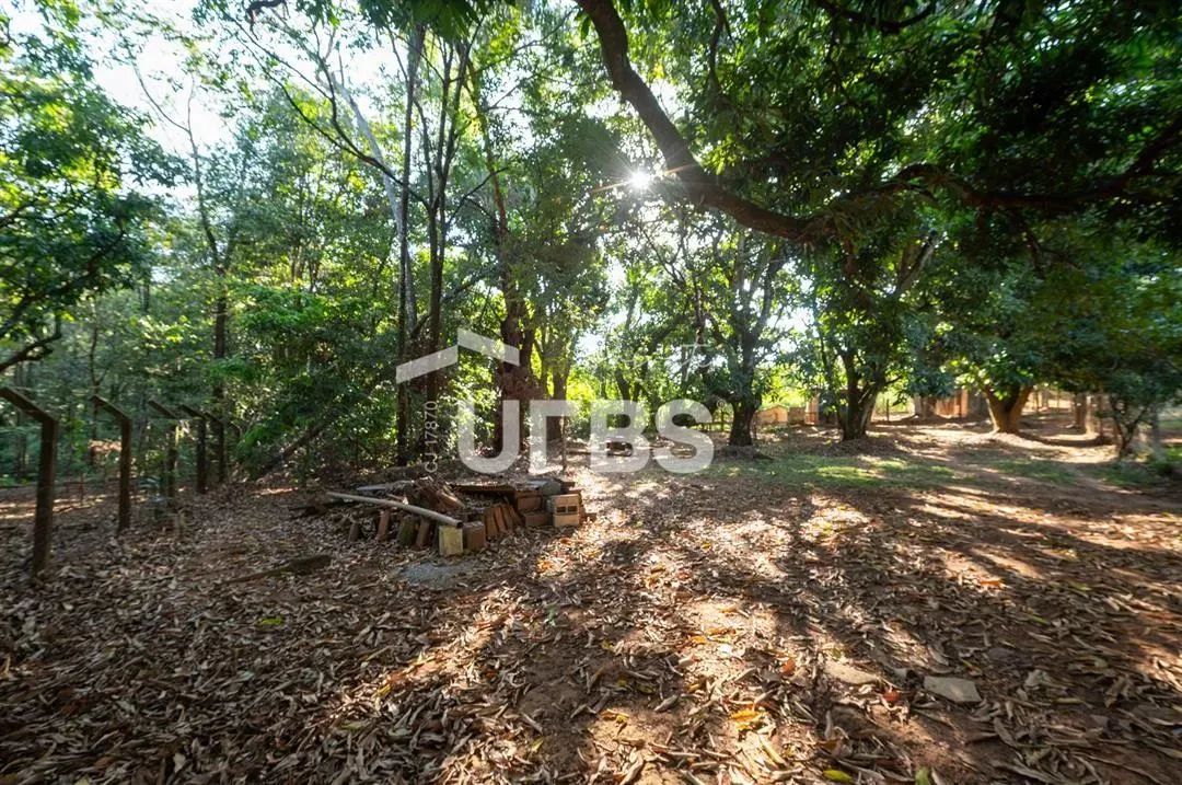 Descubra o auge do luxo e tranquilidade nesta exclusiva Chácara/Haras de 11.000m² em Goiân - Foto 12