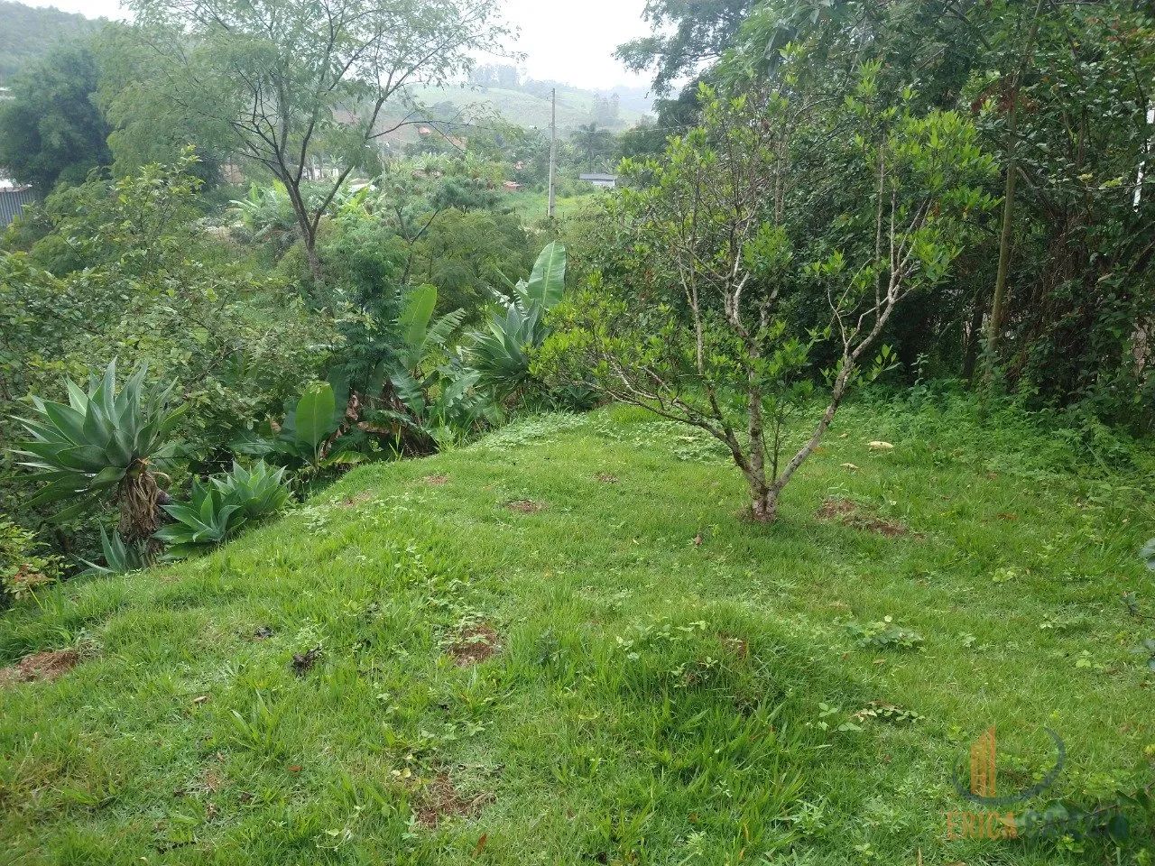 Sitio a venda, Cidade Lamim - MG - Foto 4
