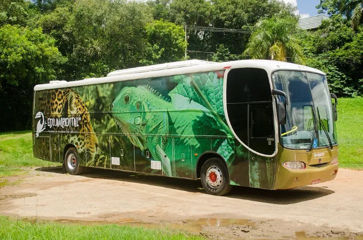 Ônibus Museu Ambiental + Acervo Zoológico - Projeto Educacional Completo - Foto 4