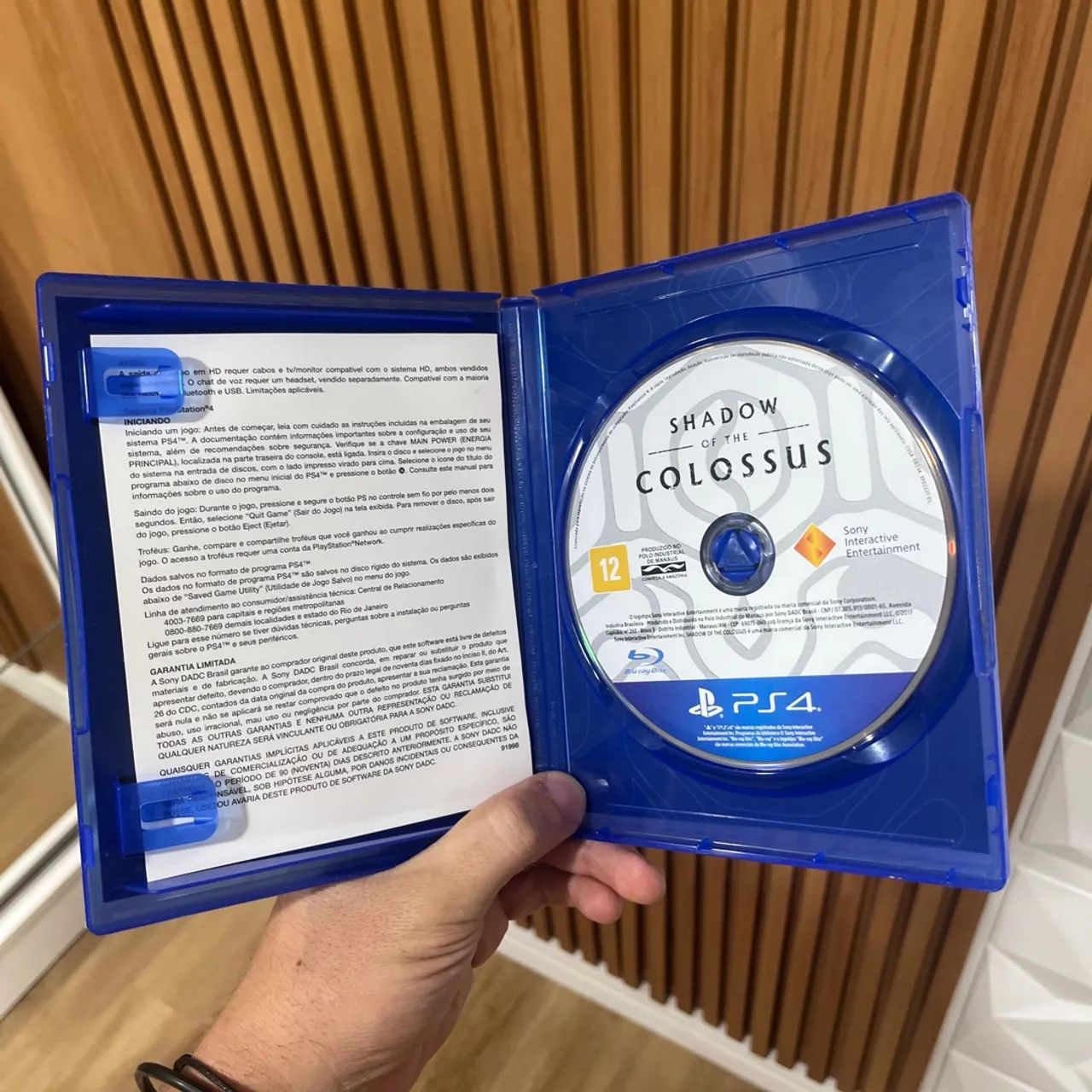 Shadow of the Colossus PS4 - Foto 2