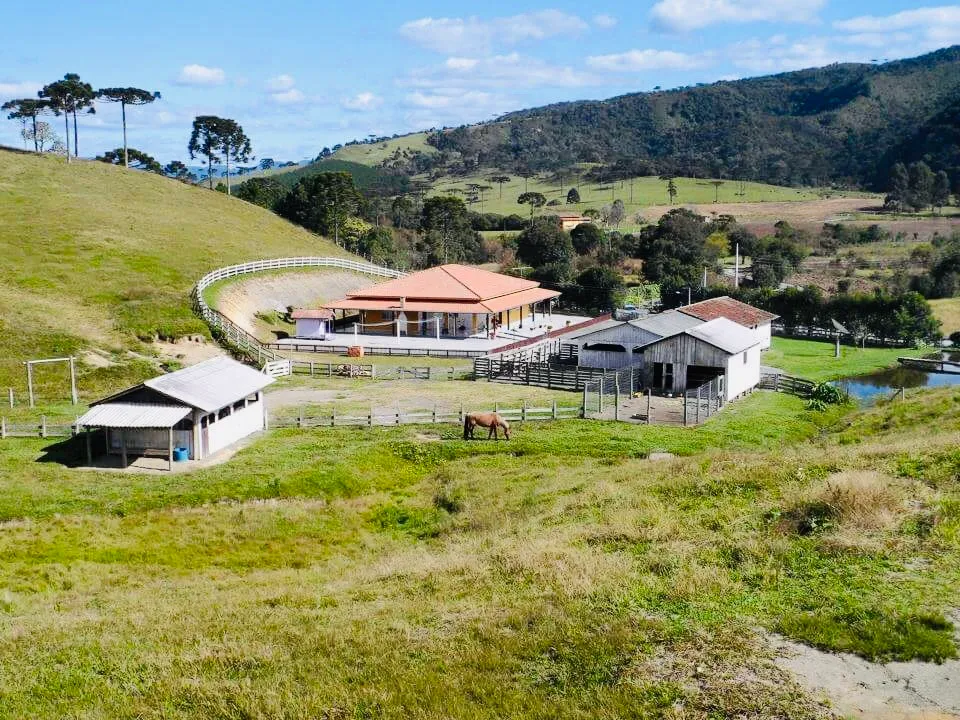 Fazenda 33 hectares