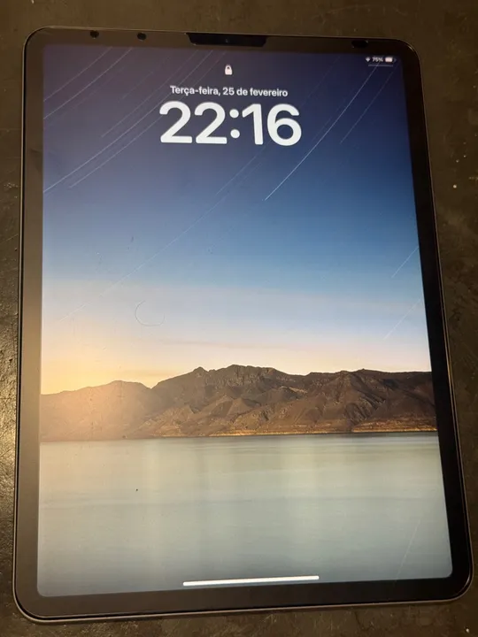 iPad Pro 11pol 2ª geração