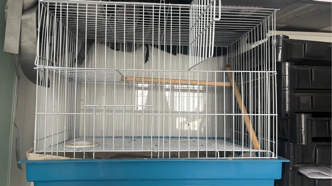 2 gaiolas em ótimo estado. - Foto 2