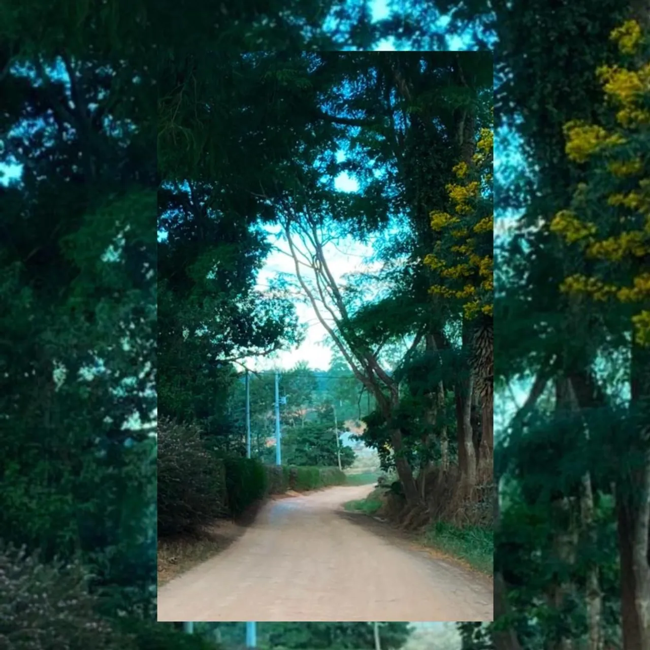 Excelente terreno em Varre-Sai/RJ com área de 650 m2 a 5 minutos do centro .