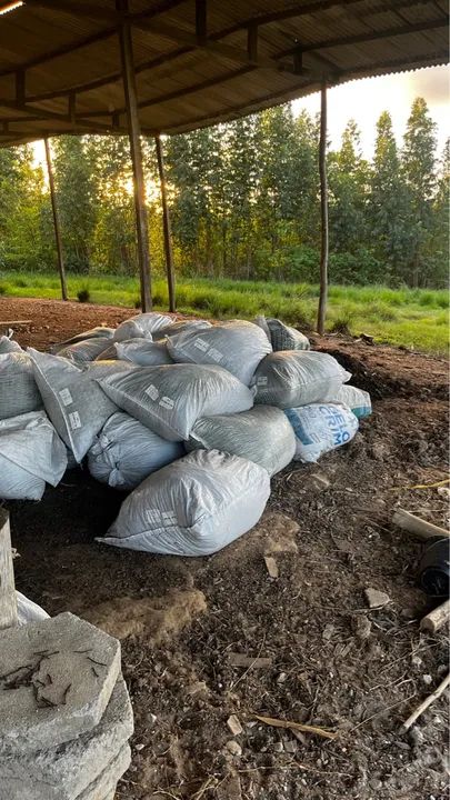 Sacos de Adubo - Faz Campo Belo - Foto 2