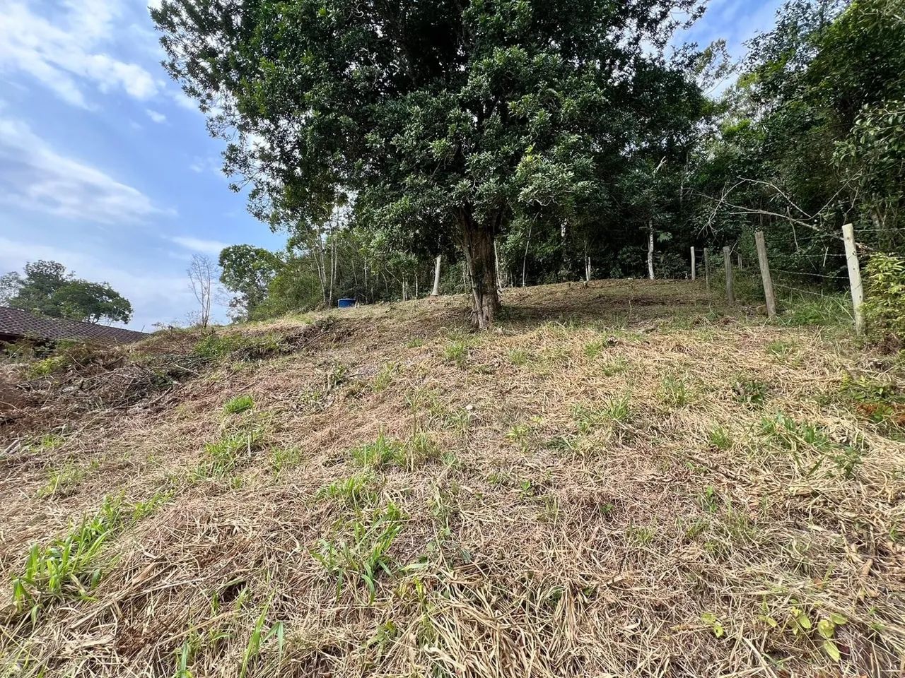Terreno 600 metros quadrados morro Ventura santo Amaro da Imperatriz  - Foto 3