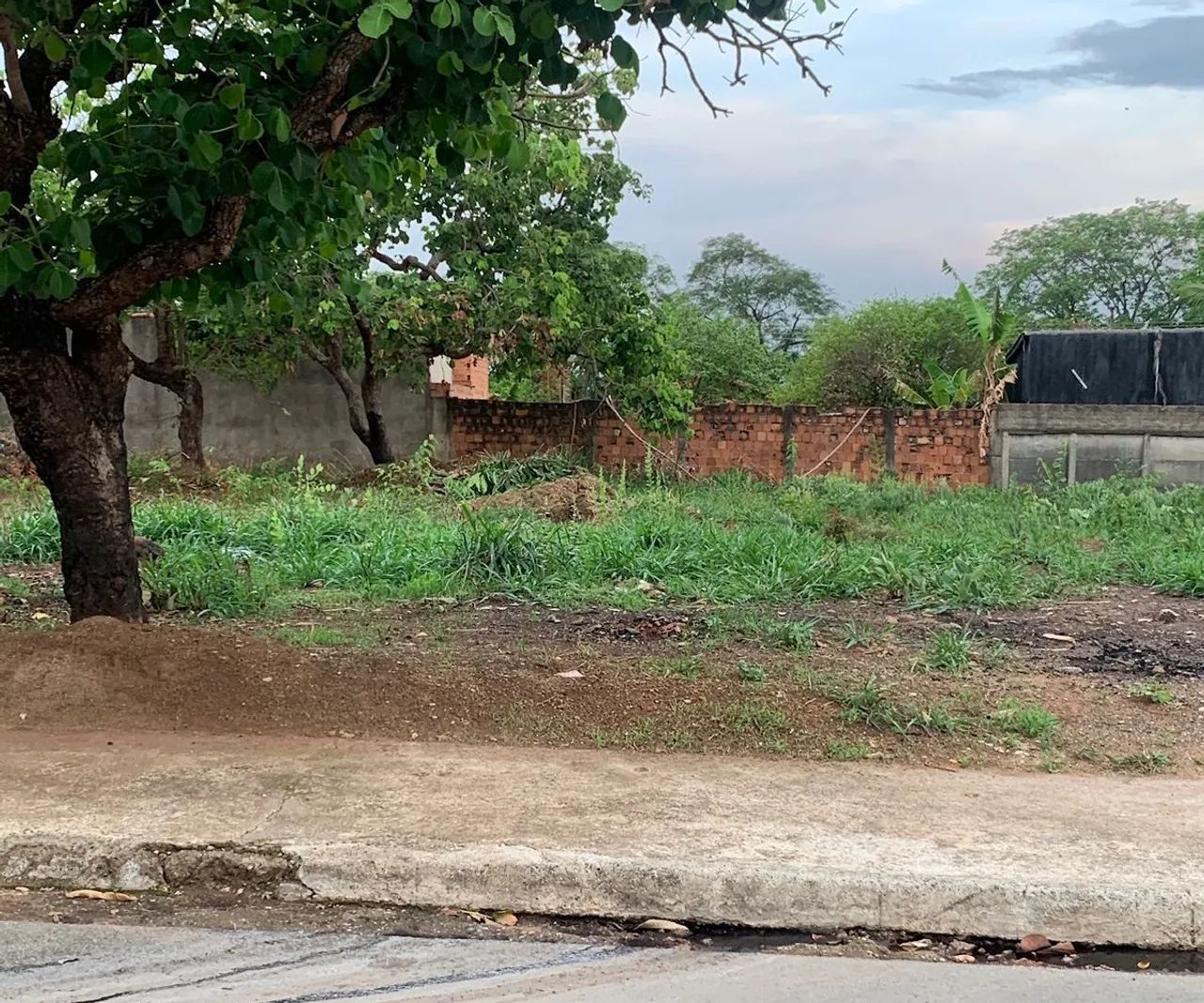 Lote 381,66m² (Asfalto) Jardim Veneza