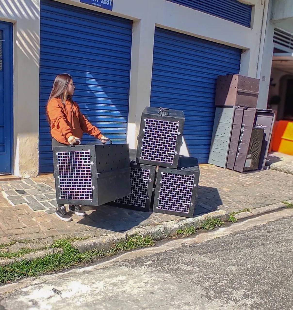 Caixas Kennel de transporte Pet ( padrão IATA)