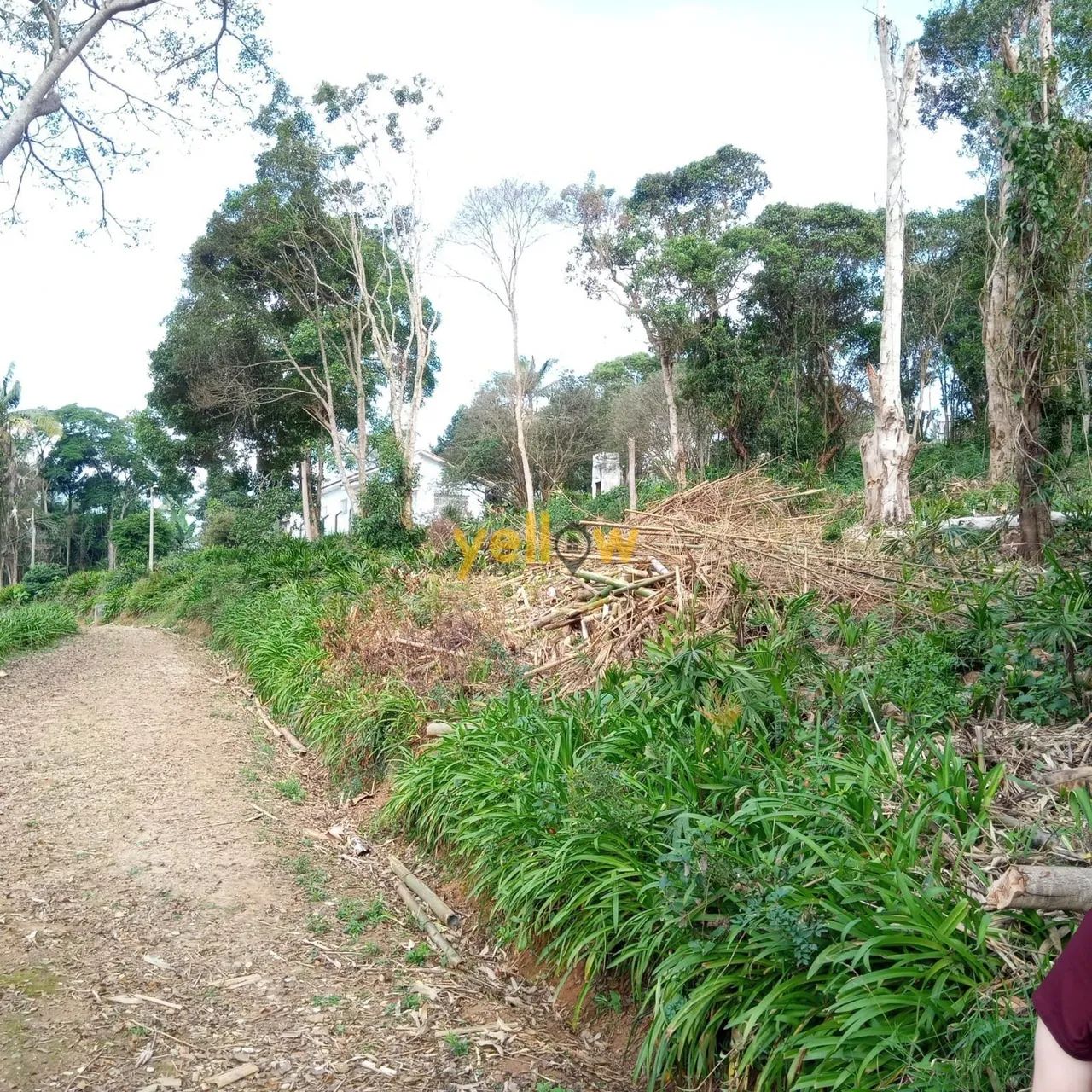 Chacara em Jardim Alto da Boa Vista - Suzano - Foto 2