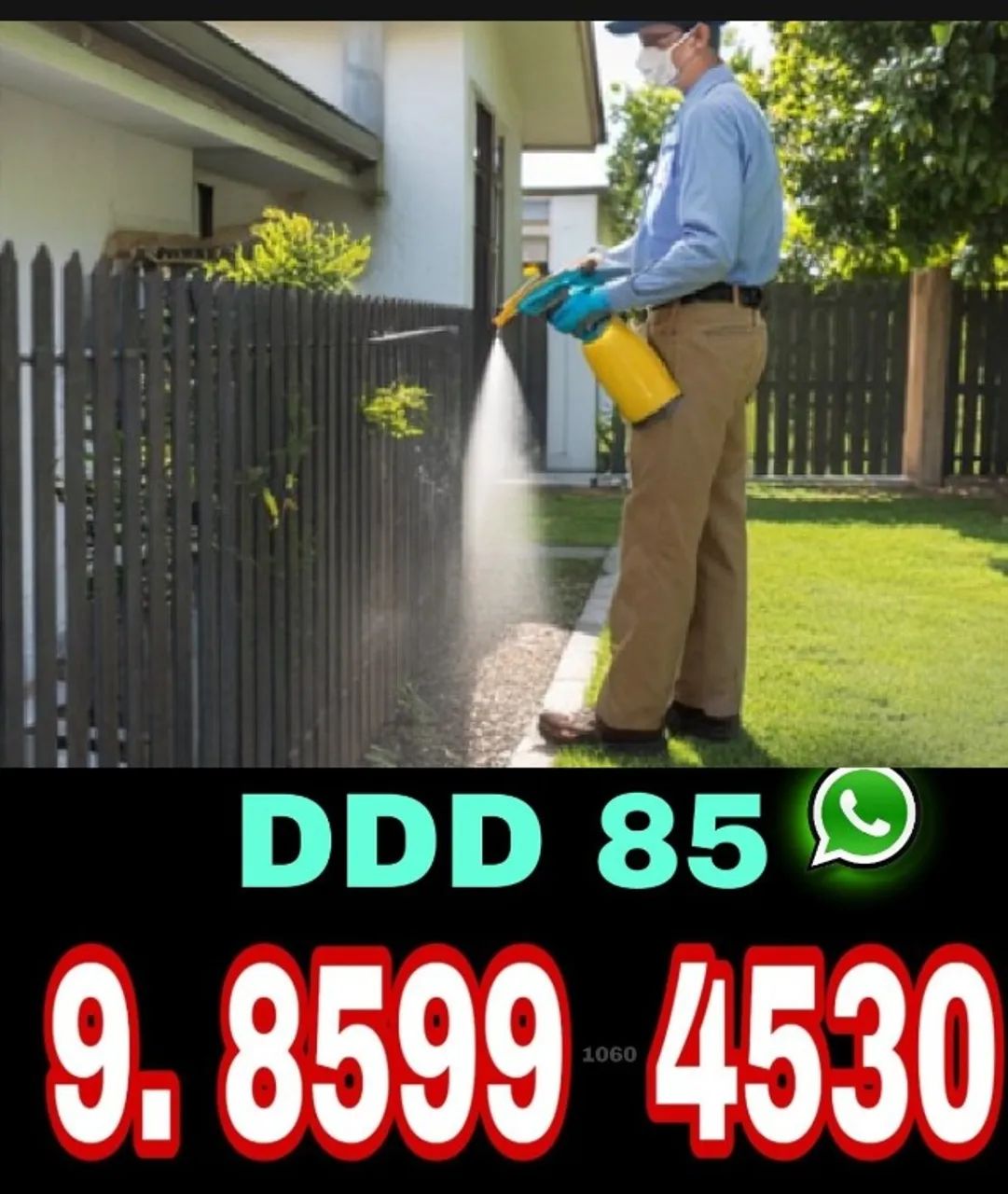 Dedetização Eficiente com Preço Justo