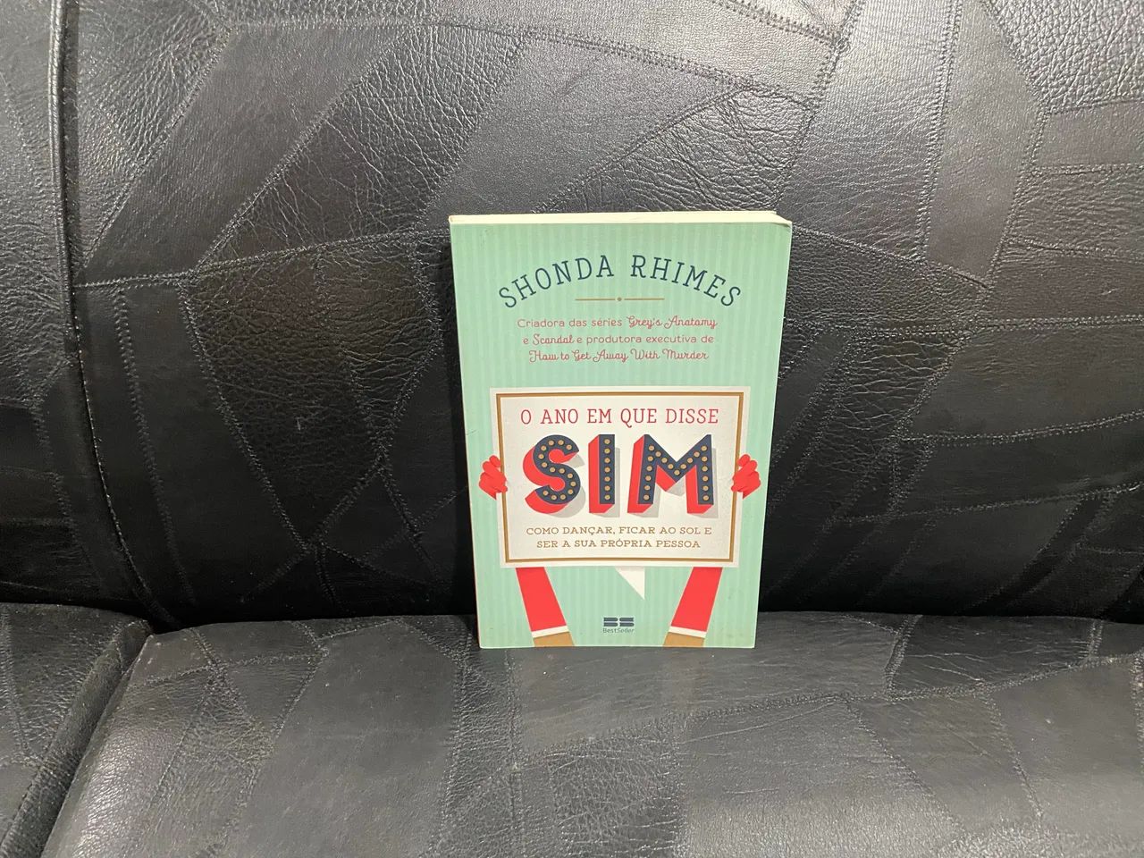 Livro O Ano em que Disse SIM