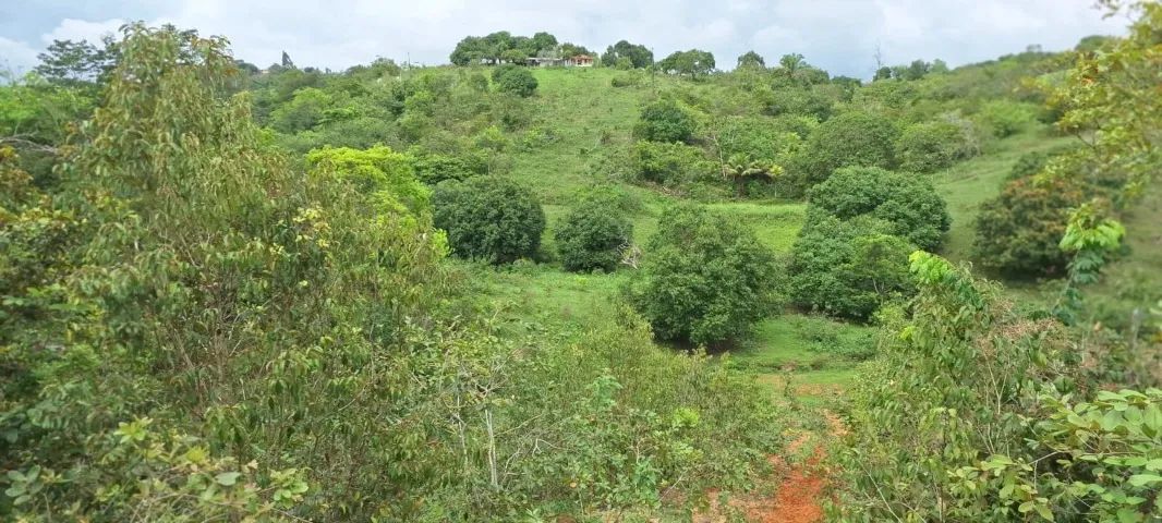 Vendo Sítio 3 Hectares com Açude e Cacimba de Água Mineral - Foto 4