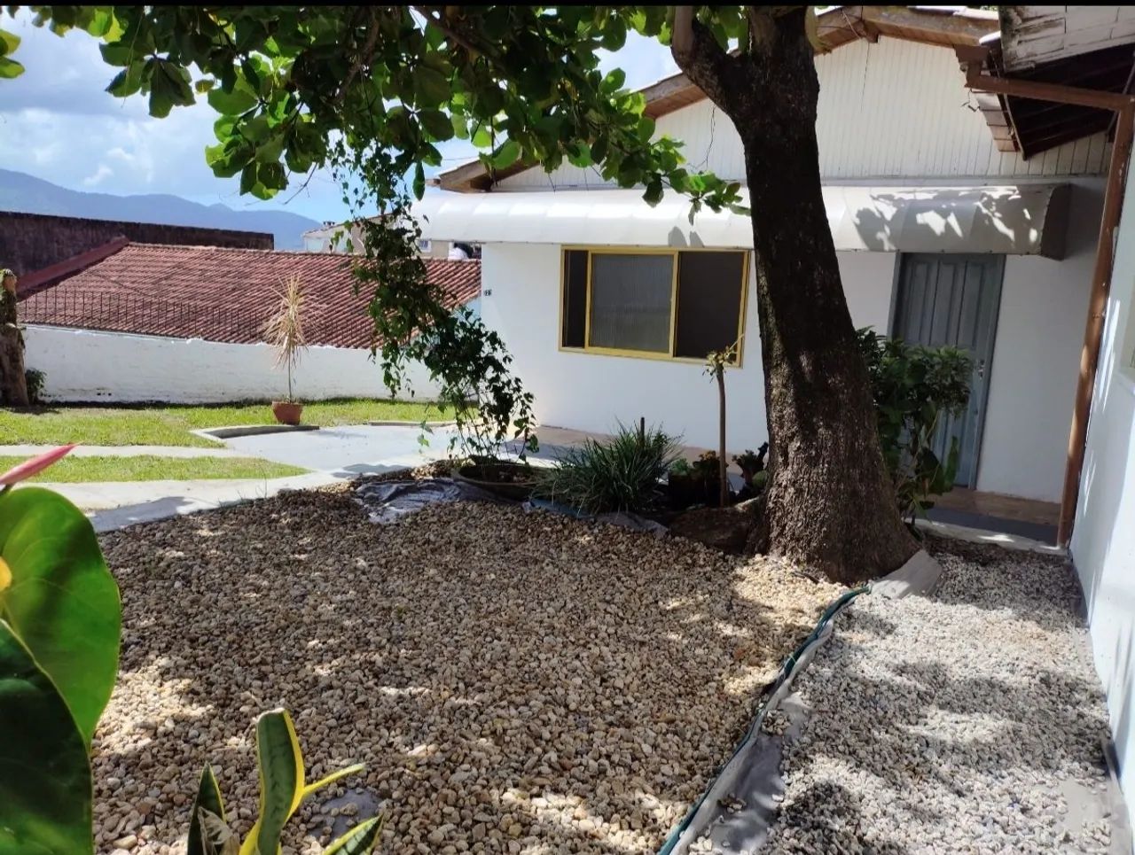 Alugo casa na Trindade, 4 quartos, próx. TITRI, livre de IPTU. - Foto 2