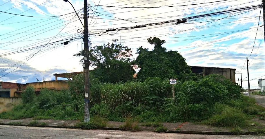 Foto - Campos dos Goytacazes - Parque Imperial