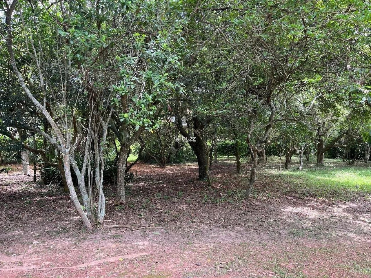 Terreno 780m² em Lagoa da Conceição, Florianópolis - Foto 3