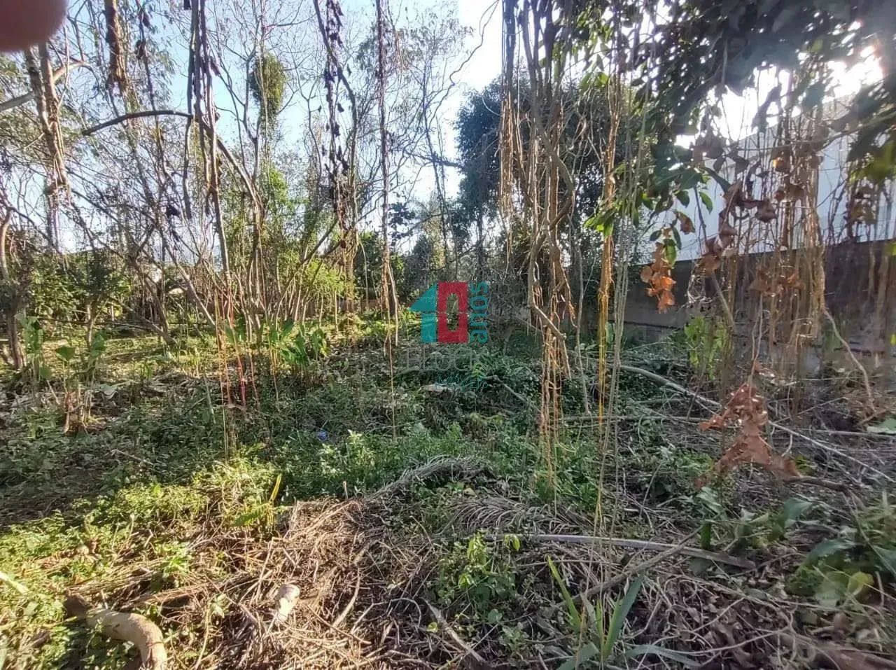 Recreio dos Bandeirantes | Terreno - Foto 3