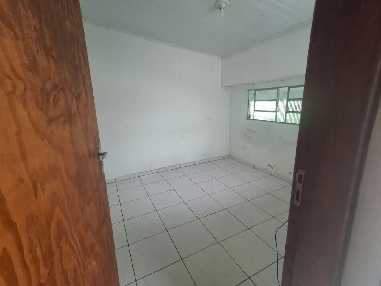 Foto - Araucária - Tindiquera