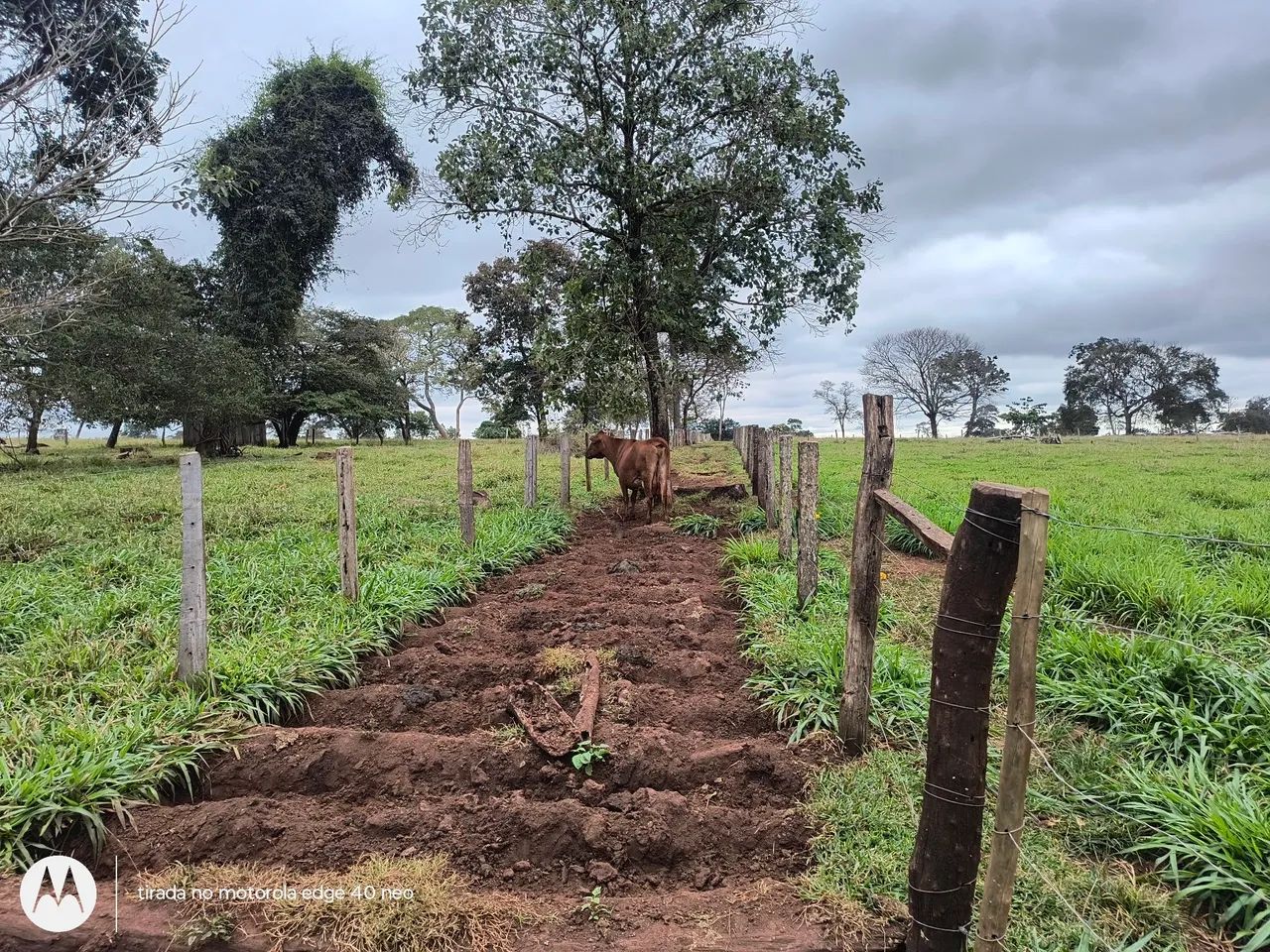 Sitio com queijaria e estrutura completa 