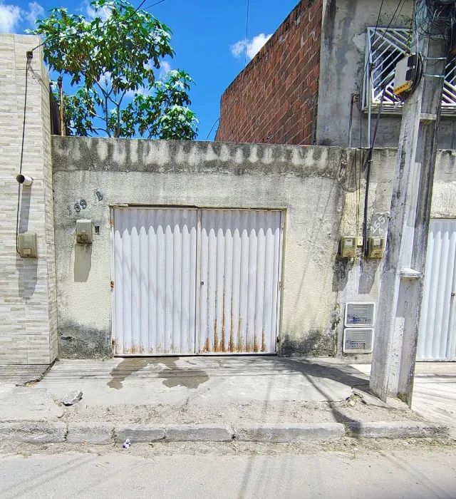 Foto - Maracanaú - Cágado