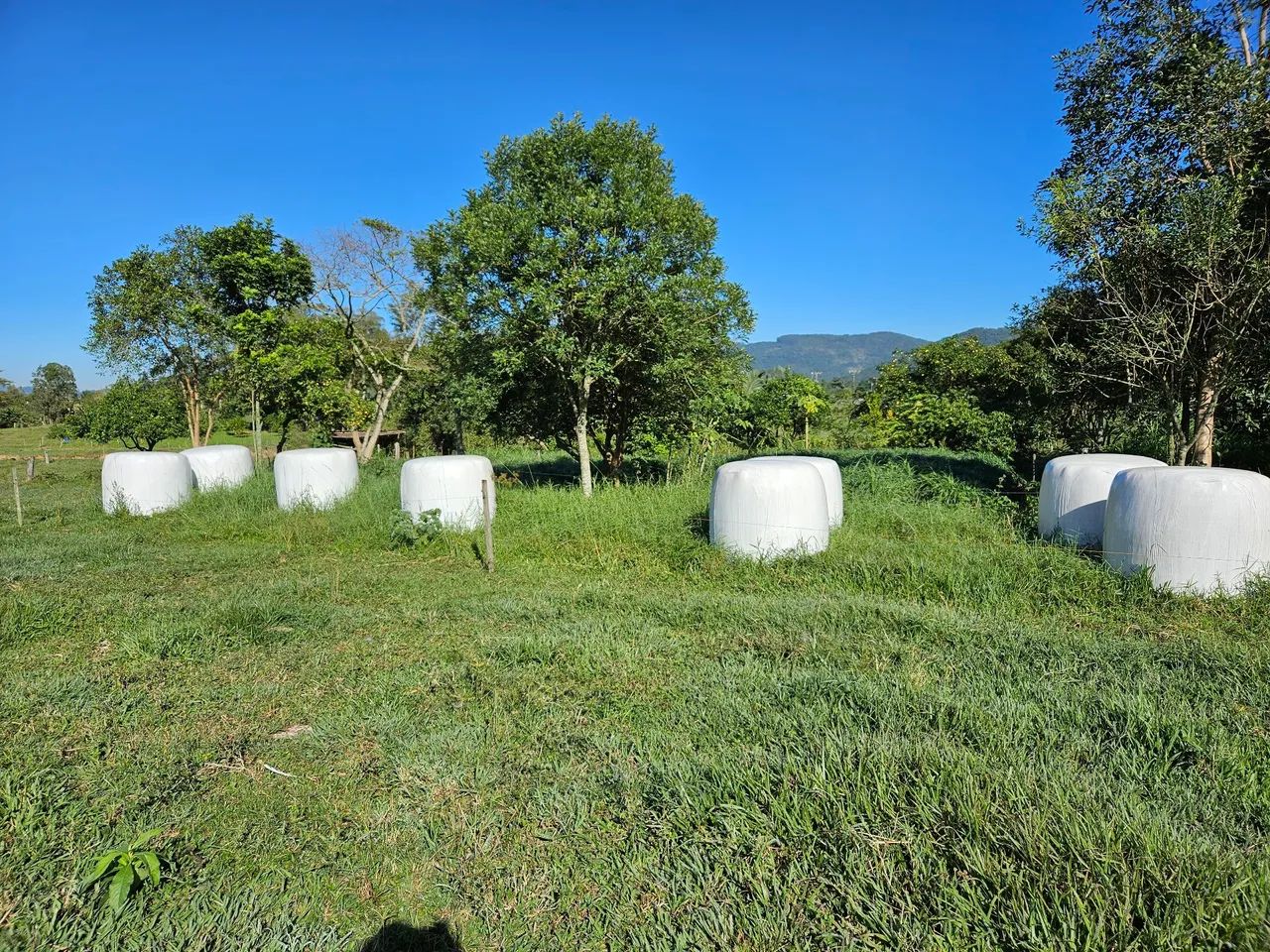 Vendo bola de feno  - Foto 2