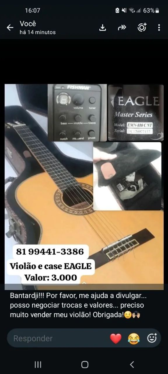 Violão EAGLE profissional, com case