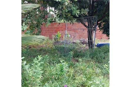 Excelente terreno (chacará) próximo a Massagueirinha - Foto 11