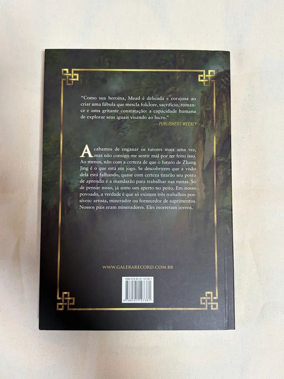 Silêncio de Richelle Mead - Foto 2