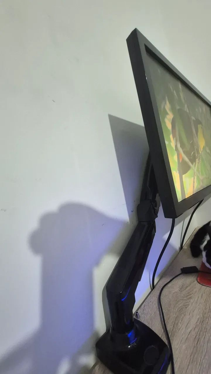 Monitor 165hz