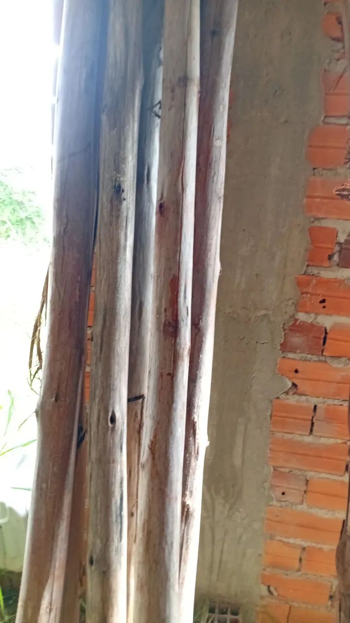 Potalete 