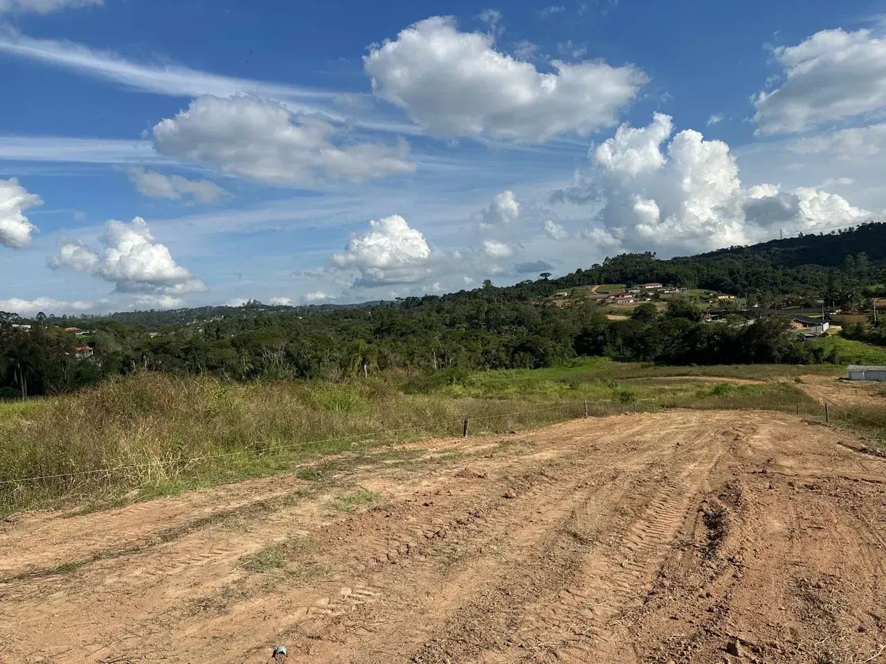 Oportunidade Que Cresce Todo Dia - Foto 4