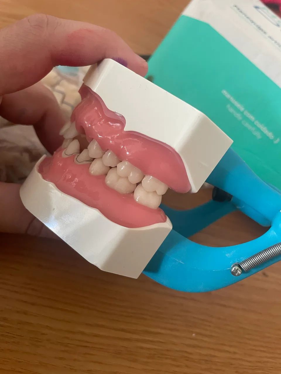 Manequim articulado P oclusal  - Foto 5