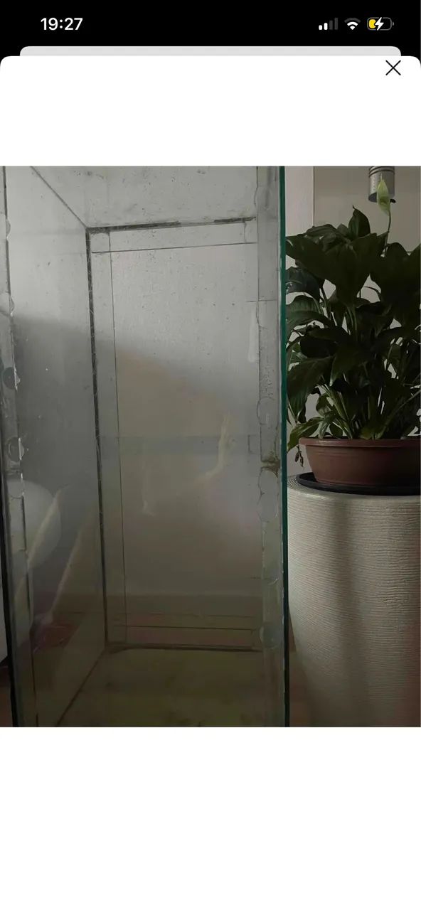 Aquário 250 litros - 400,00 - Foto 3