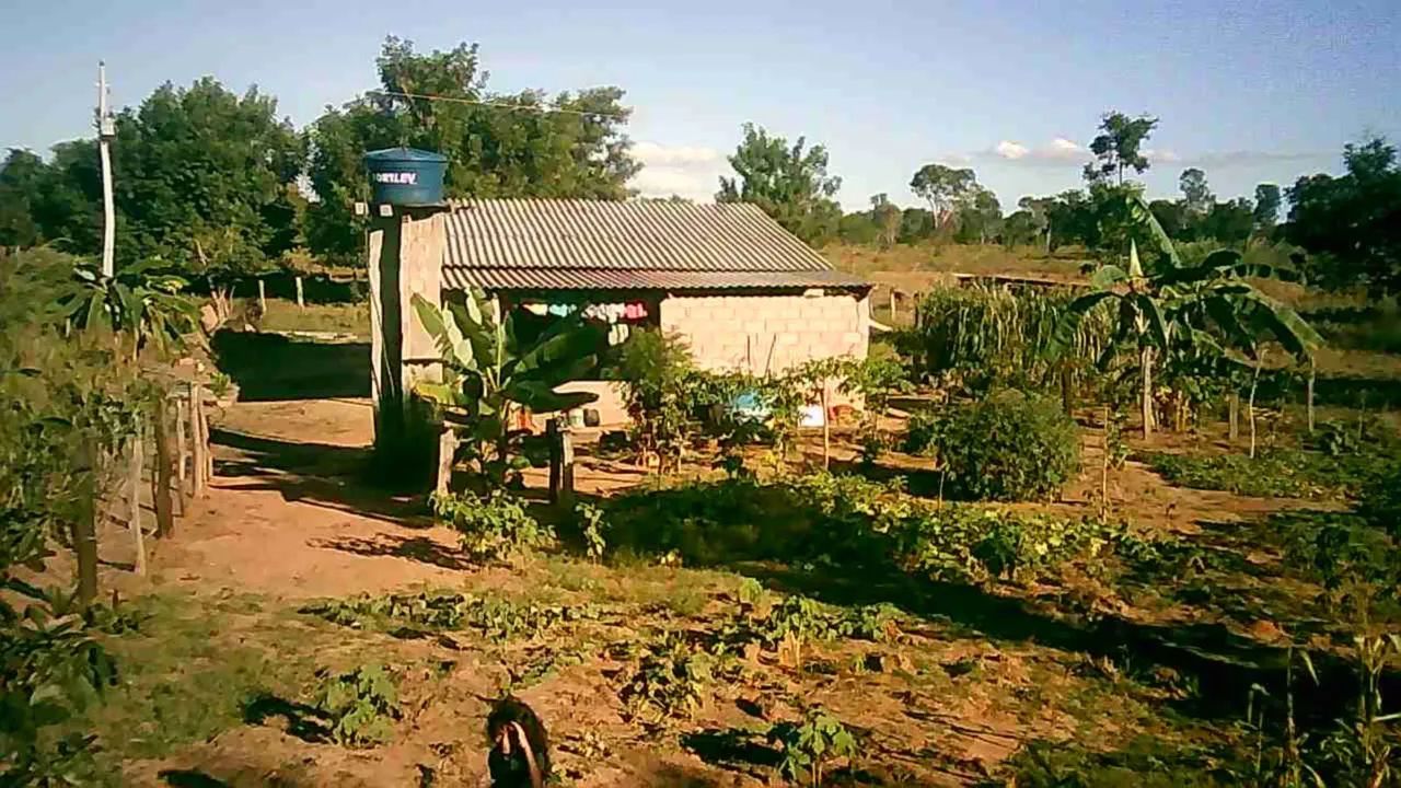 Sítio  - Foto 4