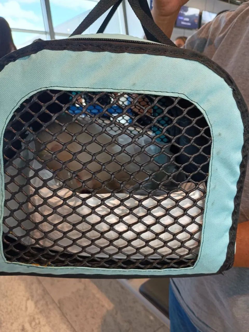 Bolsa flexível para cães e gatos cabine  - Foto 4