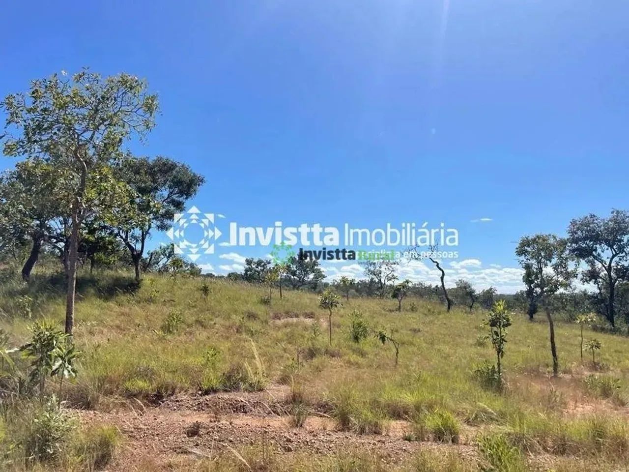 Fazenda com 900 alqueires para lavoura em Almas - Foto 5
