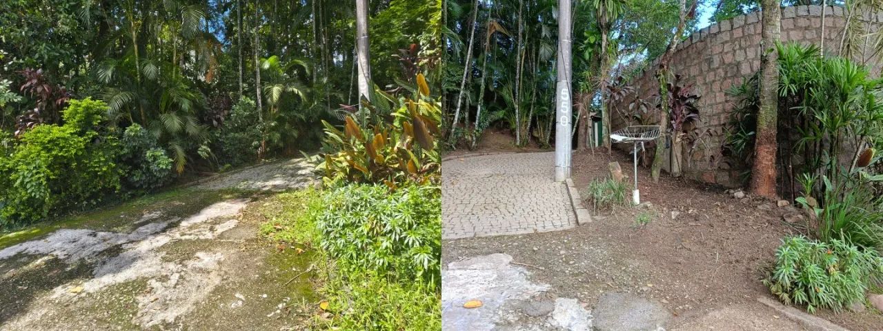 Poda e Limpeza de Cerca Viva e Arbustos em Joinville - Foto 3